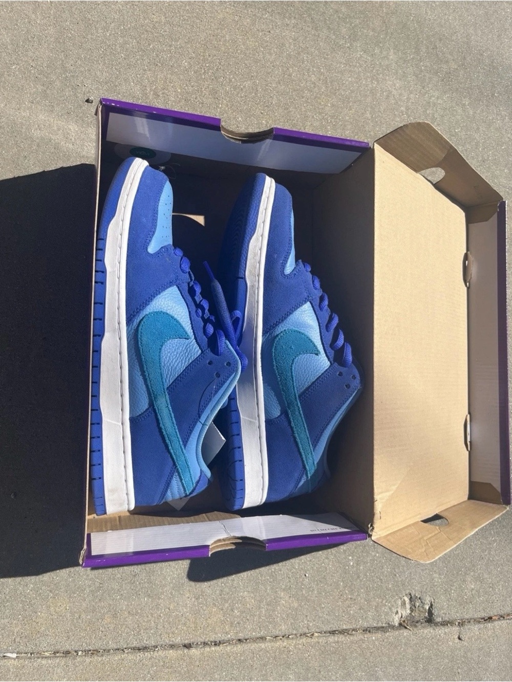 Nike SB Dunk Low Blue Raspberry Size 10